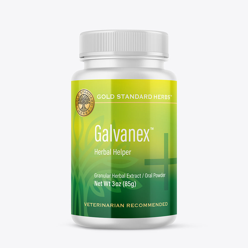 Galvanex - 